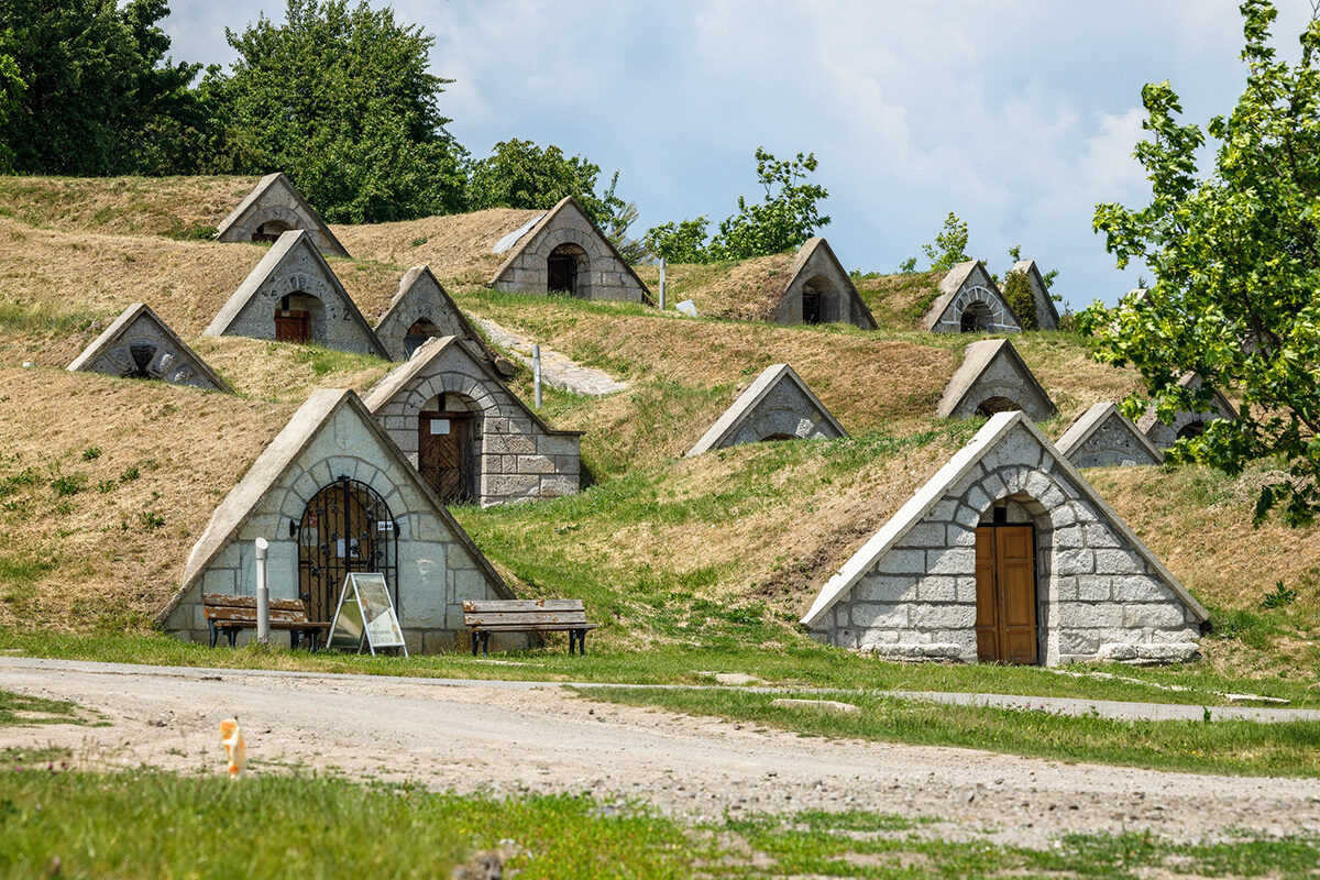 Gomboshegyi pincesor