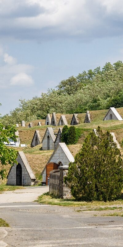 Gomboshegyi pincesor