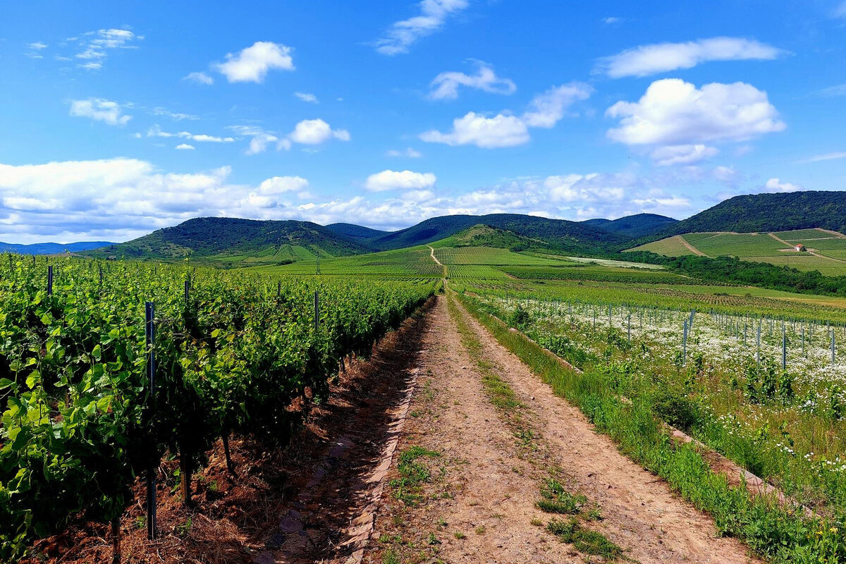 Hercegkút látképe