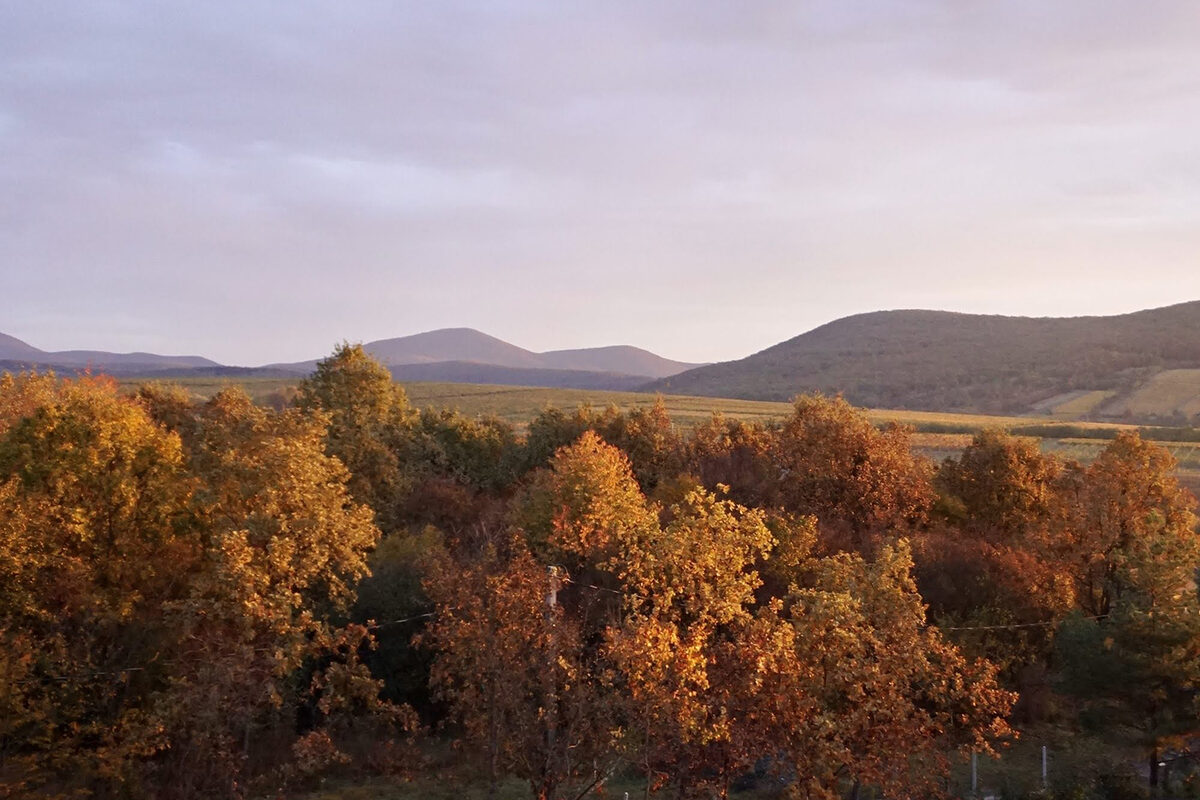 őszi látkép a szobáink hatalmas teraszairól