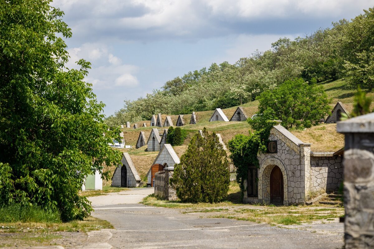 Gombos Hill Wine Cellars