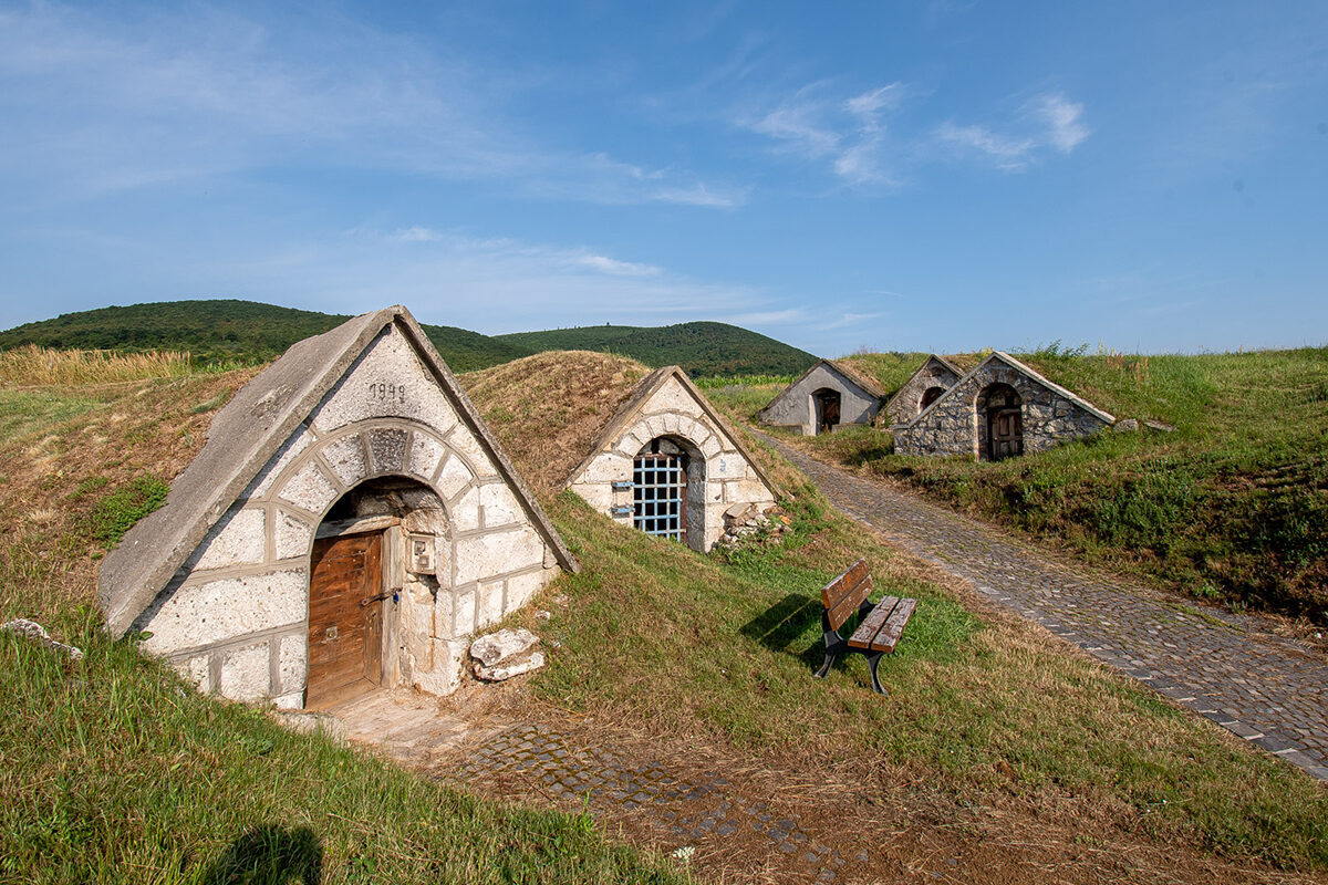 Gombos Hill Wine Cellars 2