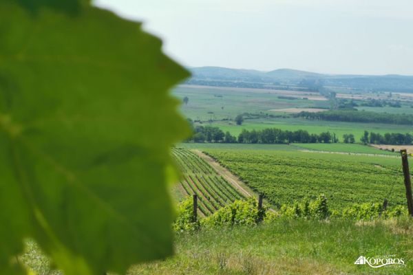 Hercegkút látnivaló